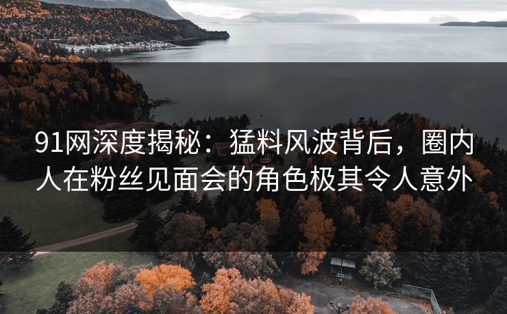 91网深度揭秘：猛料风波背后，圈内人在粉丝见面会的角色极其令人意外  第1张