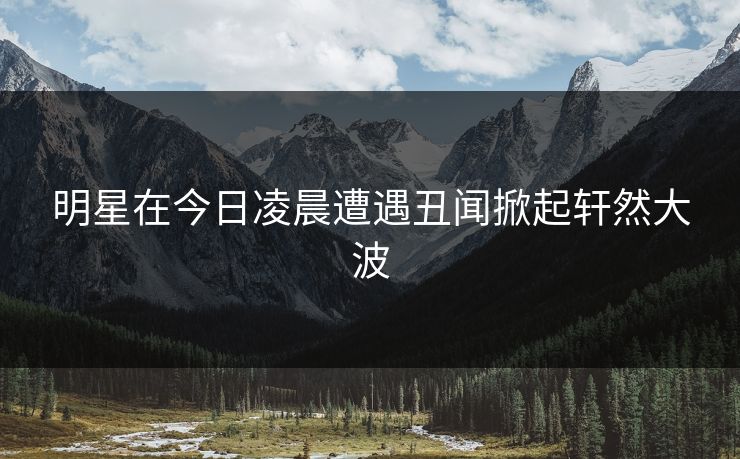 明星在今日凌晨遭遇丑闻掀起轩然大波  第1张