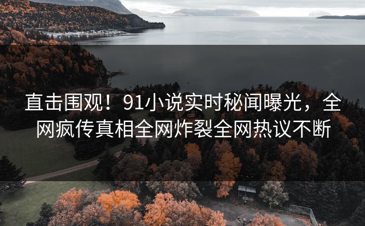 直击围观！91小说实时秘闻曝光，全网疯传真相全网炸裂全网热议不断  第1张