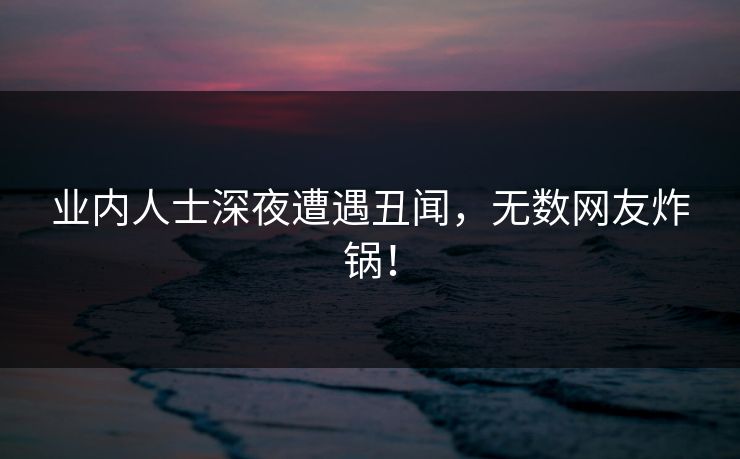业内人士深夜遭遇丑闻，无数网友炸锅！