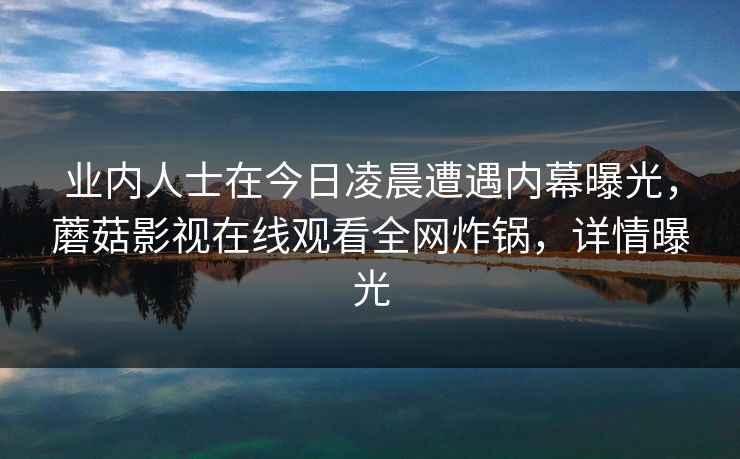 业内人士在今日凌晨遭遇内幕曝光，蘑菇影视在线观看全网炸锅，详情曝光