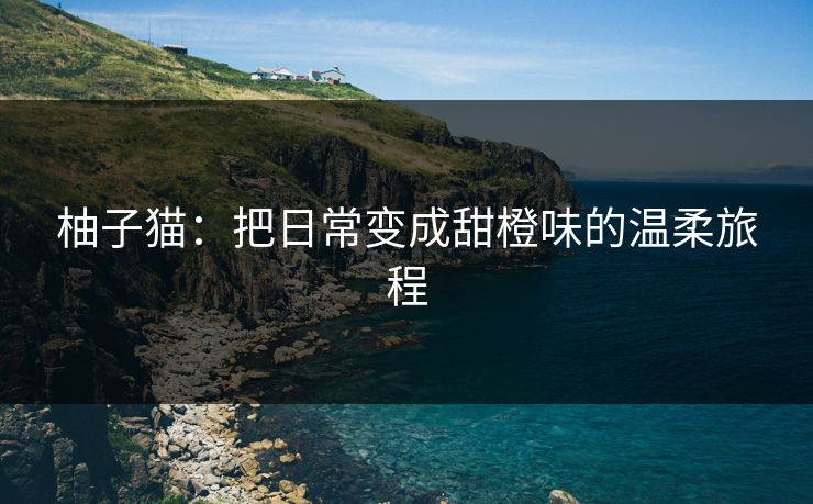 柚子猫:把日常变成甜橙味的温柔旅程
