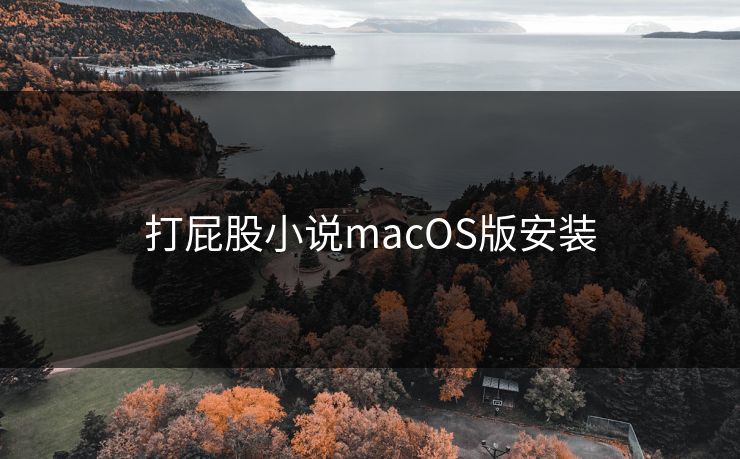 打屁股小说macOS版安装