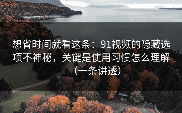 想省时间就看这条:91视频的隐藏选项不神秘,关键是使用习惯怎么理解(一条讲透)